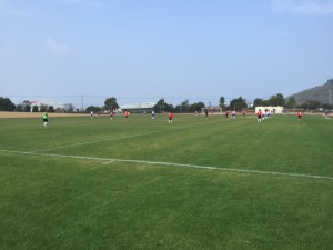 エスペランサ大会画像